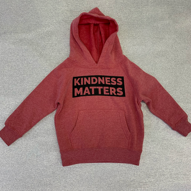 "KINDNESS MATTERS"  Toddler Special Blend Raglan Hooded Sweatshirt